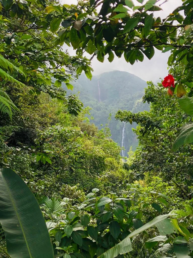 Chute du Carbet  - Guadeloupe